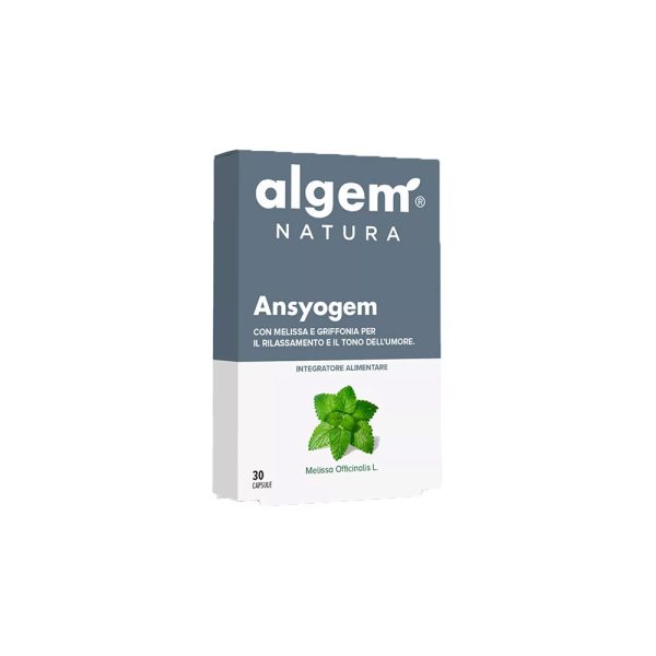Ansyogem